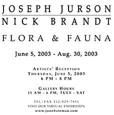 Flora & Fauna: Joseph Jurson and Nick Brandt