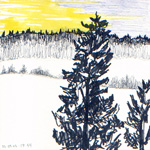 Arctic Forest