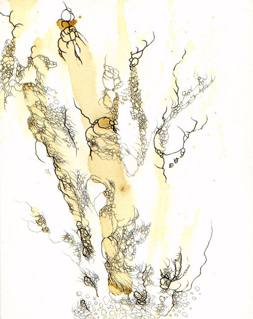 painting by R.A. Fedde