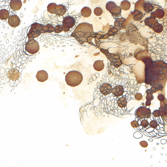 painting by R.A. Fedde