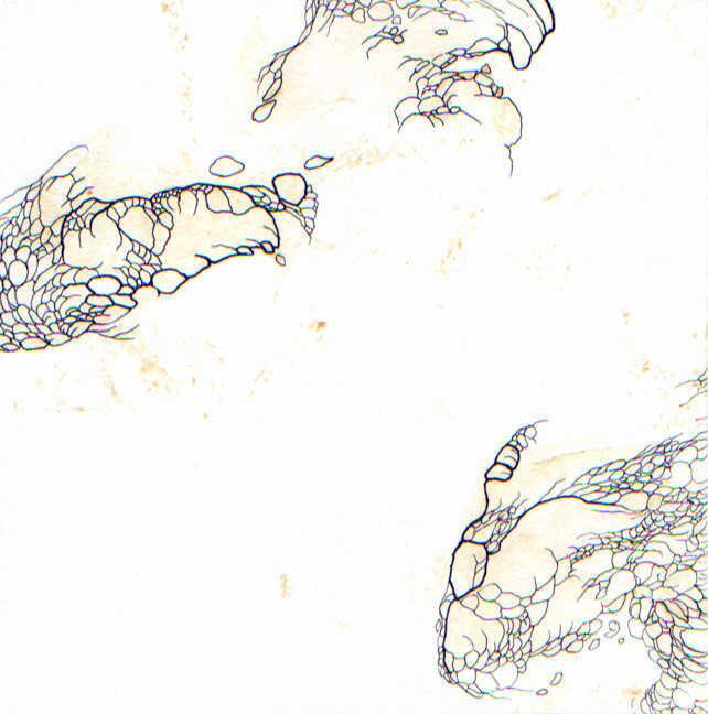 painting by R.A. Fedde