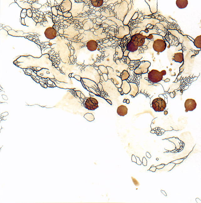 painting by R.A. Fedde