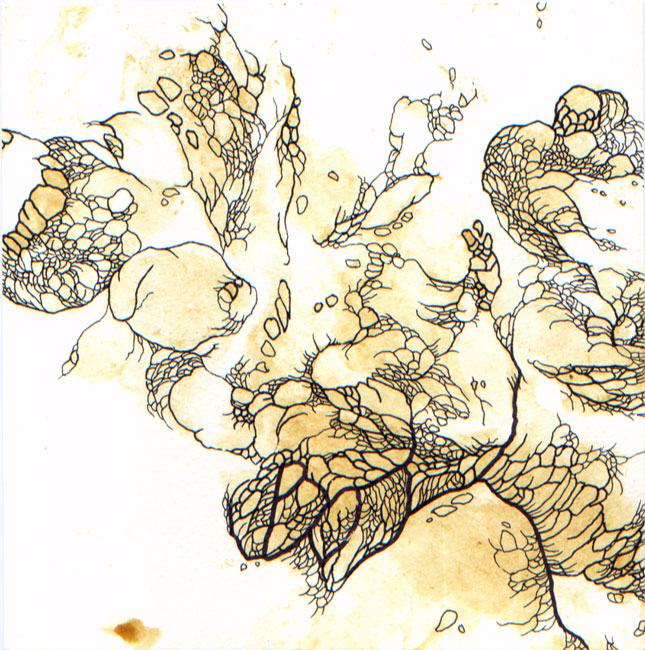 painting by R.A. Fedde