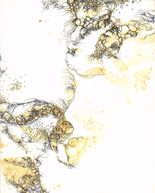 painting by R.A. Fedde