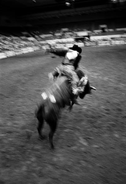 photography by John Goodman