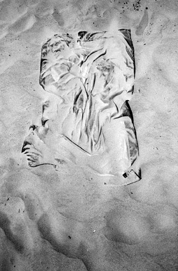 photography by John Goodman