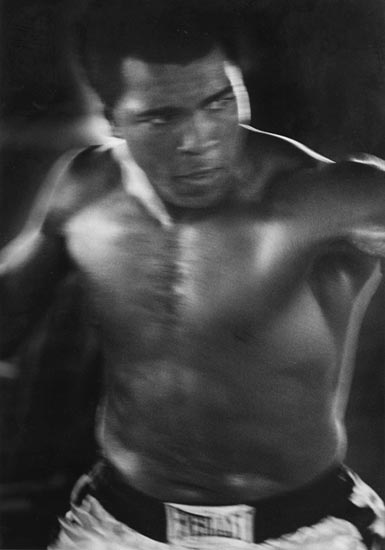photography by John Goodman