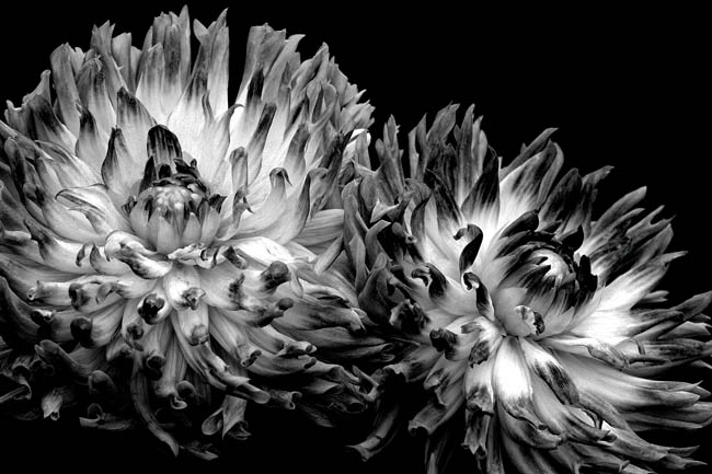 photography by Barry Guthertz