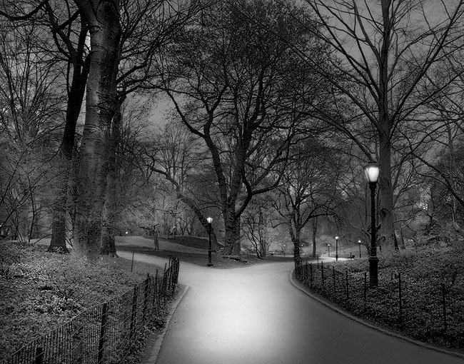 photography by Michael Massaia